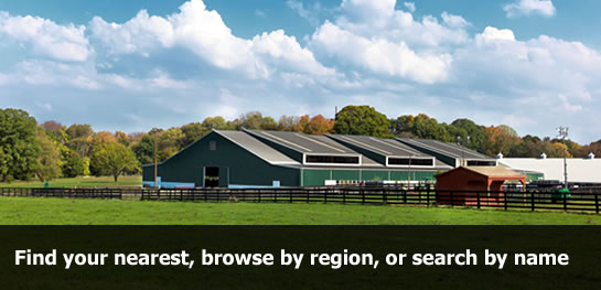 Find your nearest UK livery yard with the comprehensive search tools from LiveryFinder